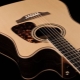 Takamine Guitars