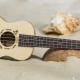 How to play ukulele brute-force?