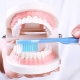 How to brush your teeth properly?