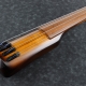 What are fretless guitars and how to play them?