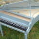 Musical instrument spinet