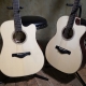 Ibanez Acoustic Guitars Review