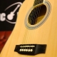 Fabio Guitars Review