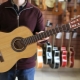 Flight Guitars Review