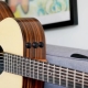 Enya Guitars and Ukulele Review