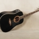 Features of electro-acoustic guitars and their choice