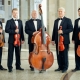 Differences between double bass and cello
