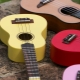 Ukulele varieties and their differences