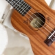 Ukulele strings