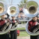 Sousaphone: characteristics and use