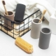 Types of toothbrush glasses and tips for choosing them