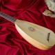 Everything you need to know about the lute