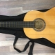 All About Adams Guitars