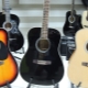 All About Colombo Guitars