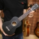 All about Veston guitars and ukuleles