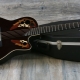 All About Ovation Guitars