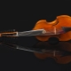 All about the musical instrument viola
