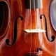 All about Stradivari violins