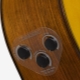 All about transacoustic guitars