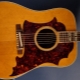 All About Western Guitars