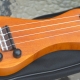 All about the electric ukulele