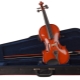 Choosing cases for violins