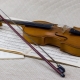 Choosing a violin bow