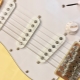 Electric Guitar Pickups