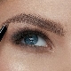 What is eyebrow wax and how to use it?