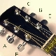 What is the tuning of a guitar?