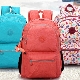 Overview of backpacks from Kipling