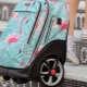 Features of school backpacks on wheels