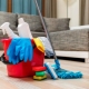 Cleaning kits