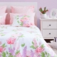 Bedding Description Cotton Edge