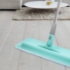 Features of Hausmann mops