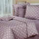 All about Cotton Dreams bedding