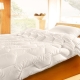 All about the size and choice of one-and-a-half blankets