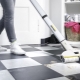 All about Karcher mops