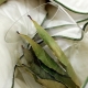 All About Eucalyptus Fiber Blankets