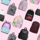 Choosing a backpack for a high school student
