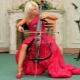 Review of the musical instrument electric cello
