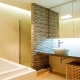 All about partitions in the bathroom