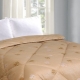 All about camel wool blankets