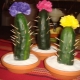 Making cacti from cucumbers