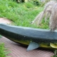 How to make a whale from a vegetable marrow?