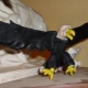 How to make an eagle from plasticine?