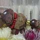How to make an elephant from beets?