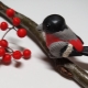How to mold a bullfinch from plasticine?