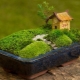 What crafts to make from moss?