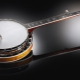 Features of the banjo and the subtleties of playing on it